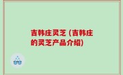 吉韩庄灵芝 (吉韩庄的灵芝产品介绍)