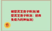 破壁灵芝孢子粉汤(破壁灵芝孢子粉汤：拯救免疫力的神仙汤)