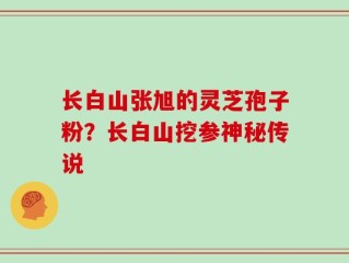 长白山张旭的灵芝孢子粉？长白山挖参神秘传说