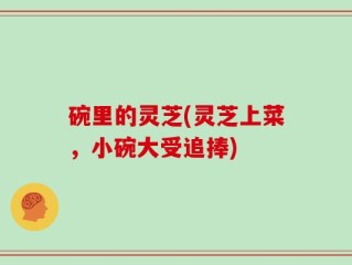 碗里的灵芝(灵芝上菜，小碗大受追捧)