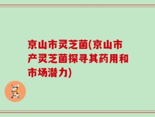 京山市灵芝菌(京山市产灵芝菌探寻其药用和市场潜力)