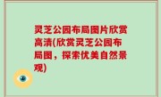灵芝公园布局图片欣赏高清(欣赏灵芝公园布局图，探索优美自然景观)