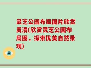 灵芝公园布局图片欣赏高清(欣赏灵芝公园布局图，探索优美自然景观)