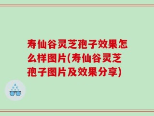 寿仙谷灵芝孢子效果怎么样图片(寿仙谷灵芝孢子图片及效果分享)