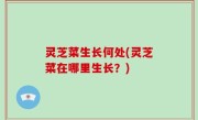 灵芝菜生长何处(灵芝菜在哪里生长？)