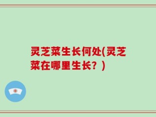 灵芝菜生长何处(灵芝菜在哪里生长？)