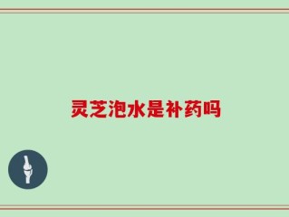 灵芝泡水是补药吗