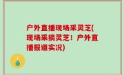 户外直播现场采灵芝(现场采摘灵芝！户外直播报道实况)