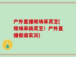 户外直播现场采灵芝(现场采摘灵芝！户外直播报道实况)