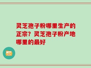 灵芝孢子粉哪里生产的正宗？灵芝孢子粉产地哪里的最好