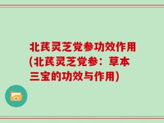 北芪灵芝党参功效作用(北芪灵芝党参：草本三宝的功效与作用)