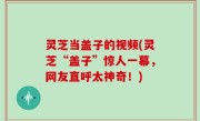 灵芝当盖子的视频(灵芝“盖子”惊人一幕，网友直呼太神奇！)
