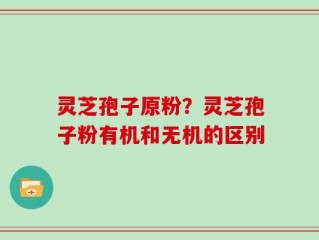 灵芝孢子原粉？灵芝孢子粉有机和无机的区别