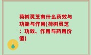 荷树灵芝有什么药效与功能与作用(荷树灵芝：功效、作用与药用价值)