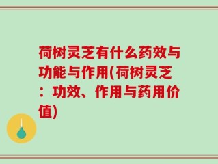 荷树灵芝有什么药效与功能与作用(荷树灵芝：功效、作用与药用价值)