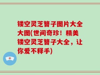 镂空灵芝簪子图片大全大图(世间奇珍！精美镂空灵芝簪子大全，让你爱不释手)