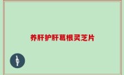 养肝护肝葛根灵芝片