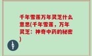 千年雪莲万年灵芝什么意思(千年雪莲，万年灵芝：神奇中药的秘密)