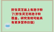 野生灵芝面上有孢子粉了(野生灵芝现孢子粉覆盖，研究发现可能具有更多营养价值)