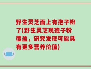 野生灵芝面上有孢子粉了(野生灵芝现孢子粉覆盖，研究发现可能具有更多营养价值)