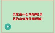 灵芝是什么功效啊(灵芝的功效及作用详解)