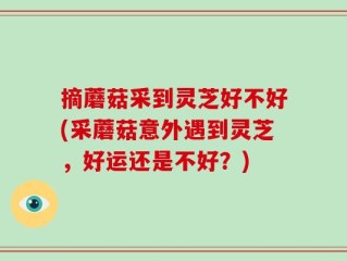 摘蘑菇采到灵芝好不好(采蘑菇意外遇到灵芝，好运还是不好？)