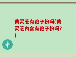 黄灵芝有孢子粉吗(黄灵芝内含有孢子粉吗？)