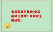 金耳菌灵芝基地(金耳菌灵芝基地：发现灵芝的秘密)