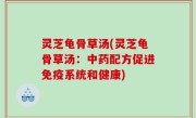 灵芝龟骨草汤(灵芝龟骨草汤：中药配方促进免疫系统和健康)