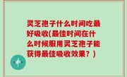 灵芝孢子什么时间吃最好吸收(最佳时间在什么时候服用灵芝孢子能获得最佳吸收效果？)
