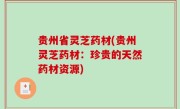 贵州省灵芝药材(贵州灵芝药材：珍贵的天然药材资源)