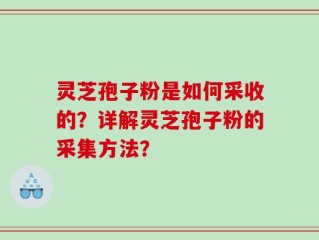 灵芝孢子粉是如何采收的？详解灵芝孢子粉的采集方法？