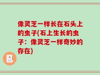 像灵芝一样长在石头上的虫子(石上生长的虫子：像灵芝一样奇妙的存在)