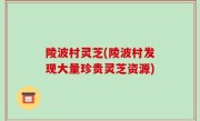 陵波村灵芝(陵波村发现大量珍贵灵芝资源)