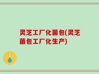 灵芝工厂化菌包(灵芝菌包工厂化生产)