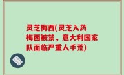 灵芝梅西(灵芝入药 梅西被禁，意大利国家队面临严重人手荒)