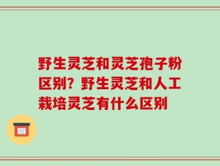 野生灵芝和灵芝孢子粉区别？野生灵芝和人工栽培灵芝有什么区别