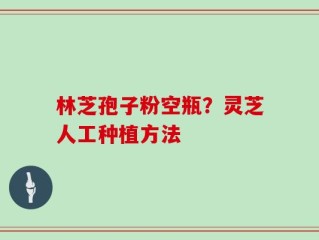 林芝孢子粉空瓶？灵芝人工种植方法