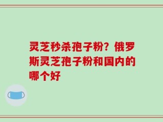 灵芝秒杀孢子粉？俄罗斯灵芝孢子粉和国内的哪个好