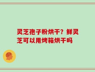 灵芝孢子粉烘干？鲜灵芝可以用烤箱烘干吗