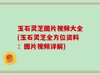 玉石灵芝图片视频大全(玉石灵芝全方位资料：图片视频详解)