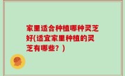 家里适合种植哪种灵芝好(适宜家里种植的灵芝有哪些？)