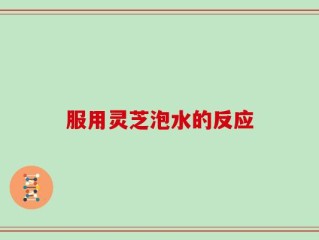 服用灵芝泡水的反应