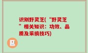 识别野灵芝(“野灵芝”相关知识：功效、品质及采摘技巧)