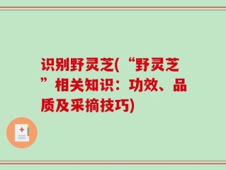 识别野灵芝(“野灵芝”相关知识：功效、品质及采摘技巧)