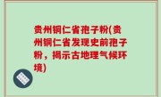 贵州铜仁省孢子粉(贵州铜仁省发现史前孢子粉，揭示古地理气候环境)