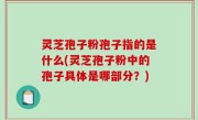 灵芝孢子粉孢子指的是什么(灵芝孢子粉中的孢子具体是哪部分？)