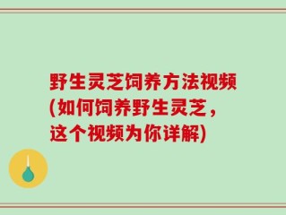 野生灵芝饲养方法视频(如何饲养野生灵芝，这个视频为你详解)