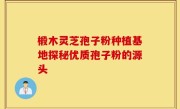 椴木灵芝孢子粉种植基地探秘优质孢子粉的源头