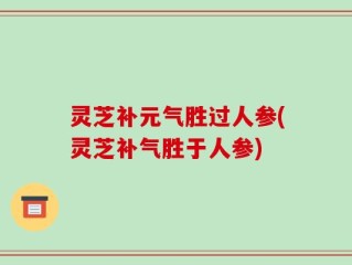 灵芝补元气胜过人参(灵芝补气胜于人参)